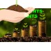 Tappin Roots Essential Grow, Quart   556837508
